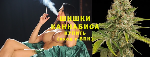 PSILOCYBIN Белокуриха