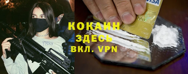 PSILOCYBIN Белокуриха