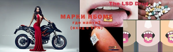 PSILOCYBIN Белокуриха