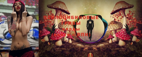 PSILOCYBIN Белокуриха