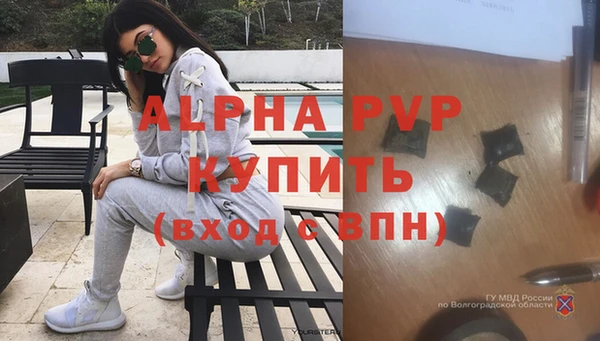 ПСИЛОЦИБИНОВЫЕ ГРИБЫ Беломорск